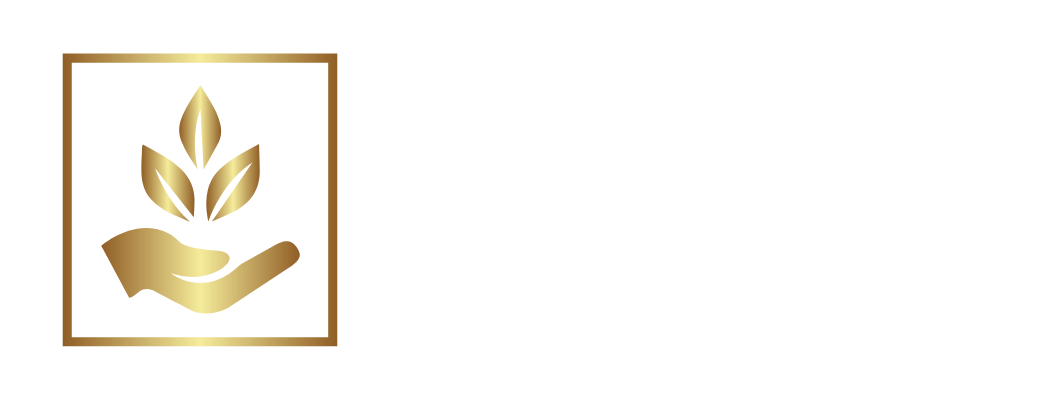 Vision Asset Partners